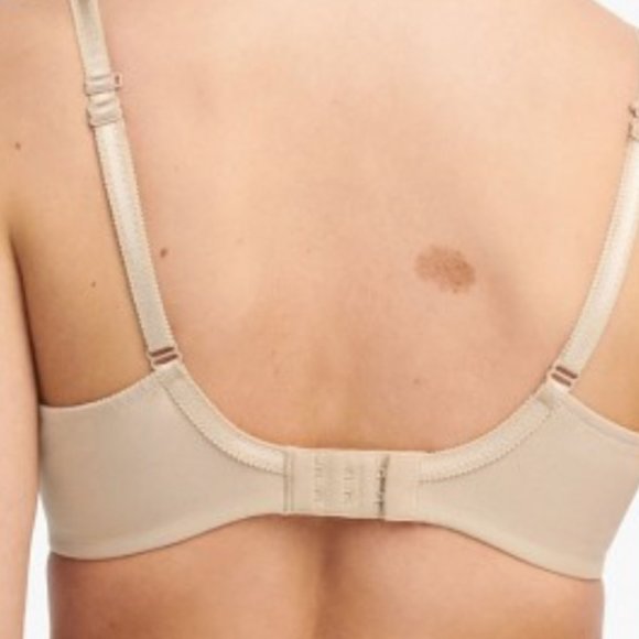 Chantelle/ Parisian Allure Unlined Plunge Bra - Bras - Picture 3 of 4